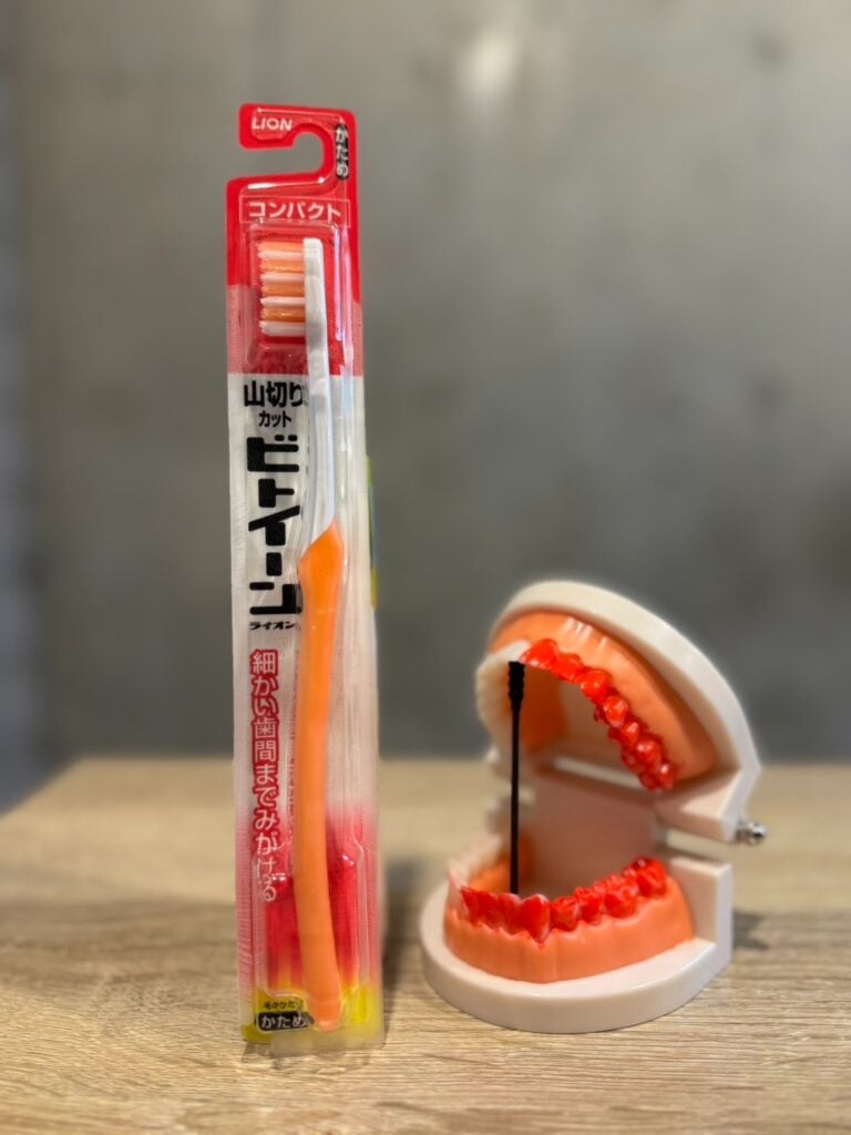 入れ歯用歯ブラシ daiso