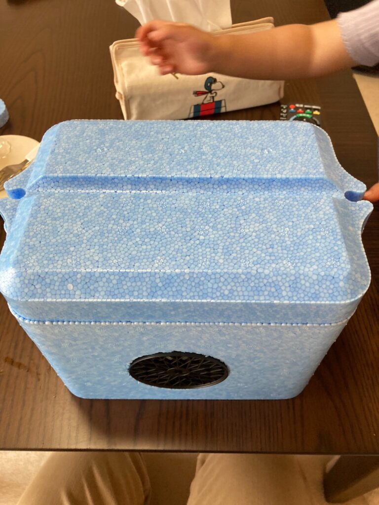 クーラーボックス 小型 daiso
