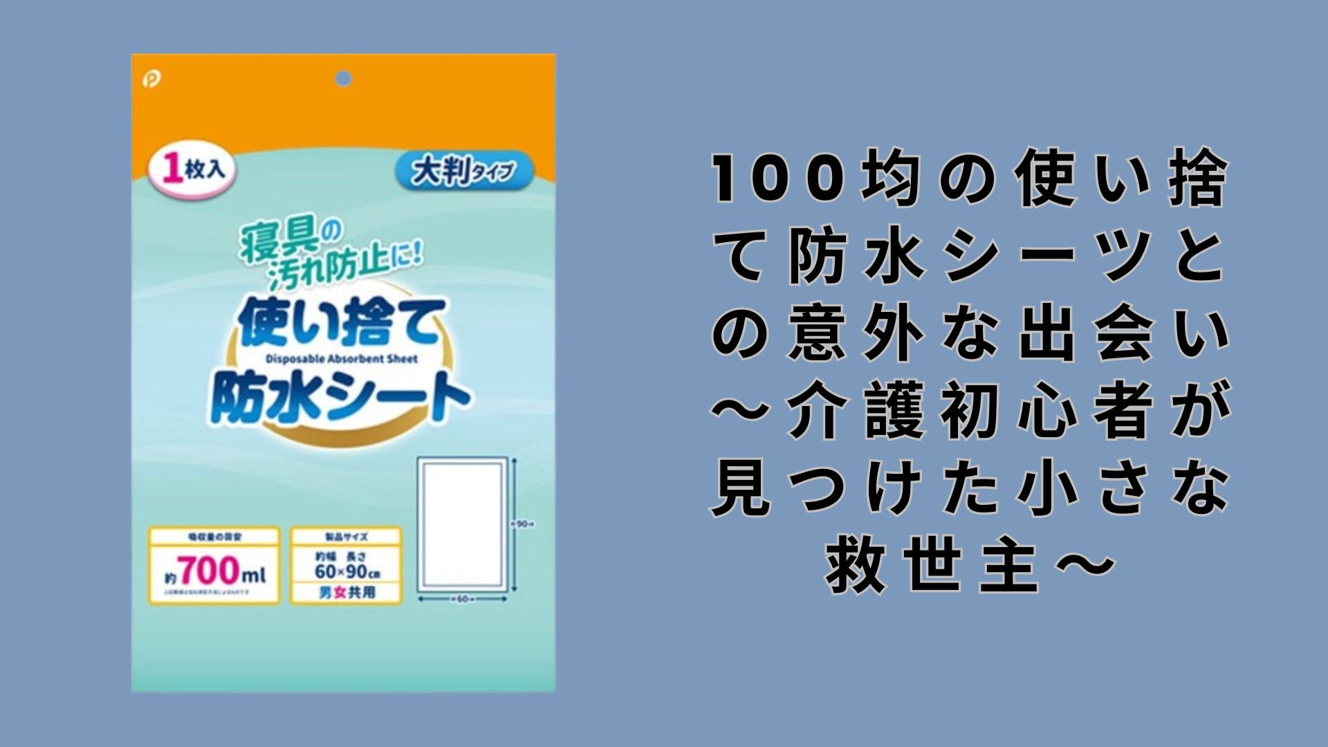 【ダイソー・セリア】100均の使い捨て防水シーツとの意外な出会い～介護初心者が見つけた小さな救世主～