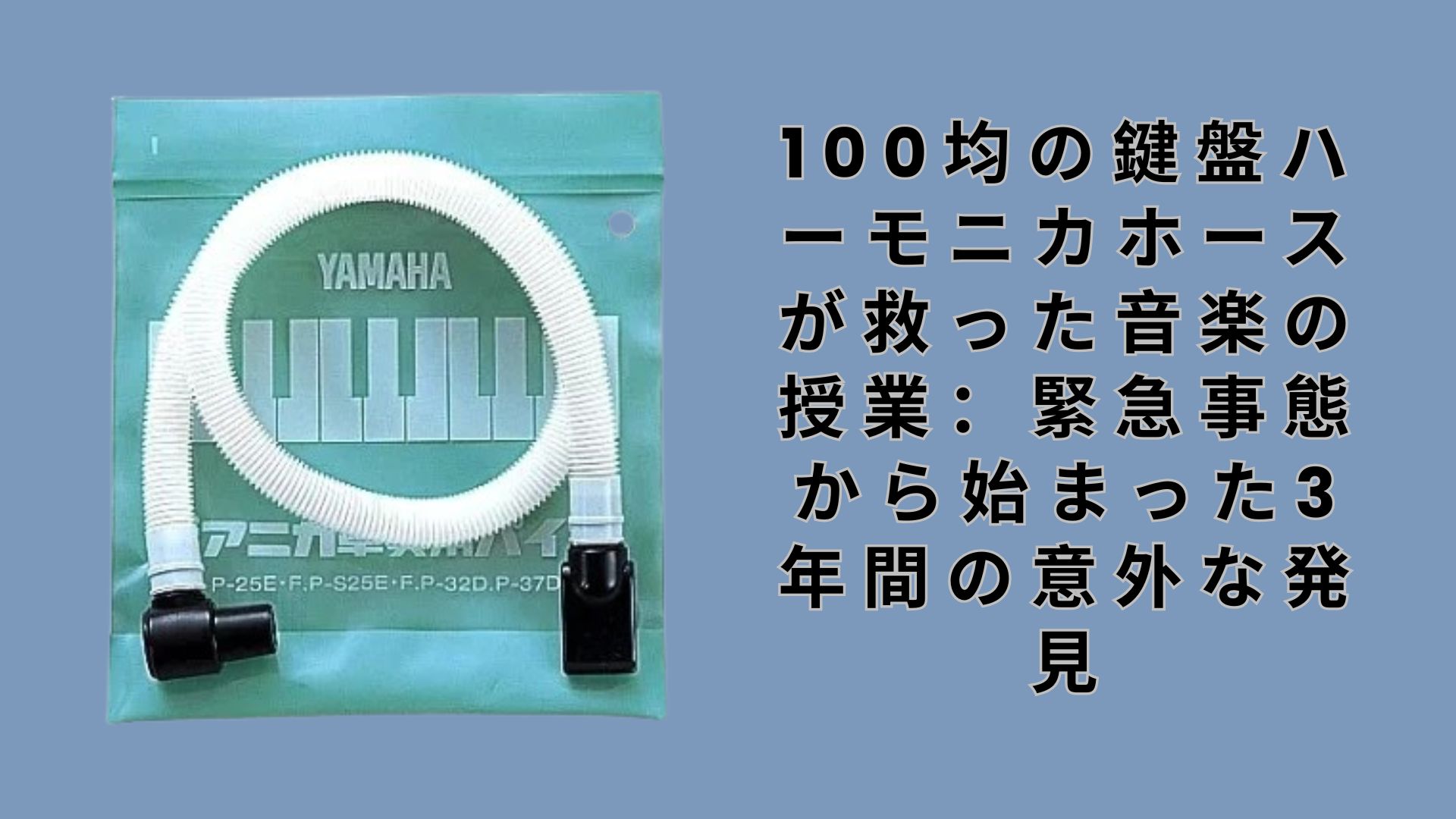 【ダイソー・セリア】100均の鍵盤ハーモニカホースが救った音楽の授業：緊急事態から始まった3年間の意外な発見