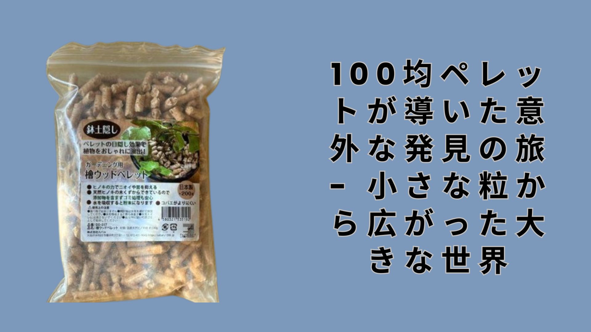 [Daiso & Seria] A journey of unexpected discoveries led by 100-yen pellets – A big world unfolding from a small particle