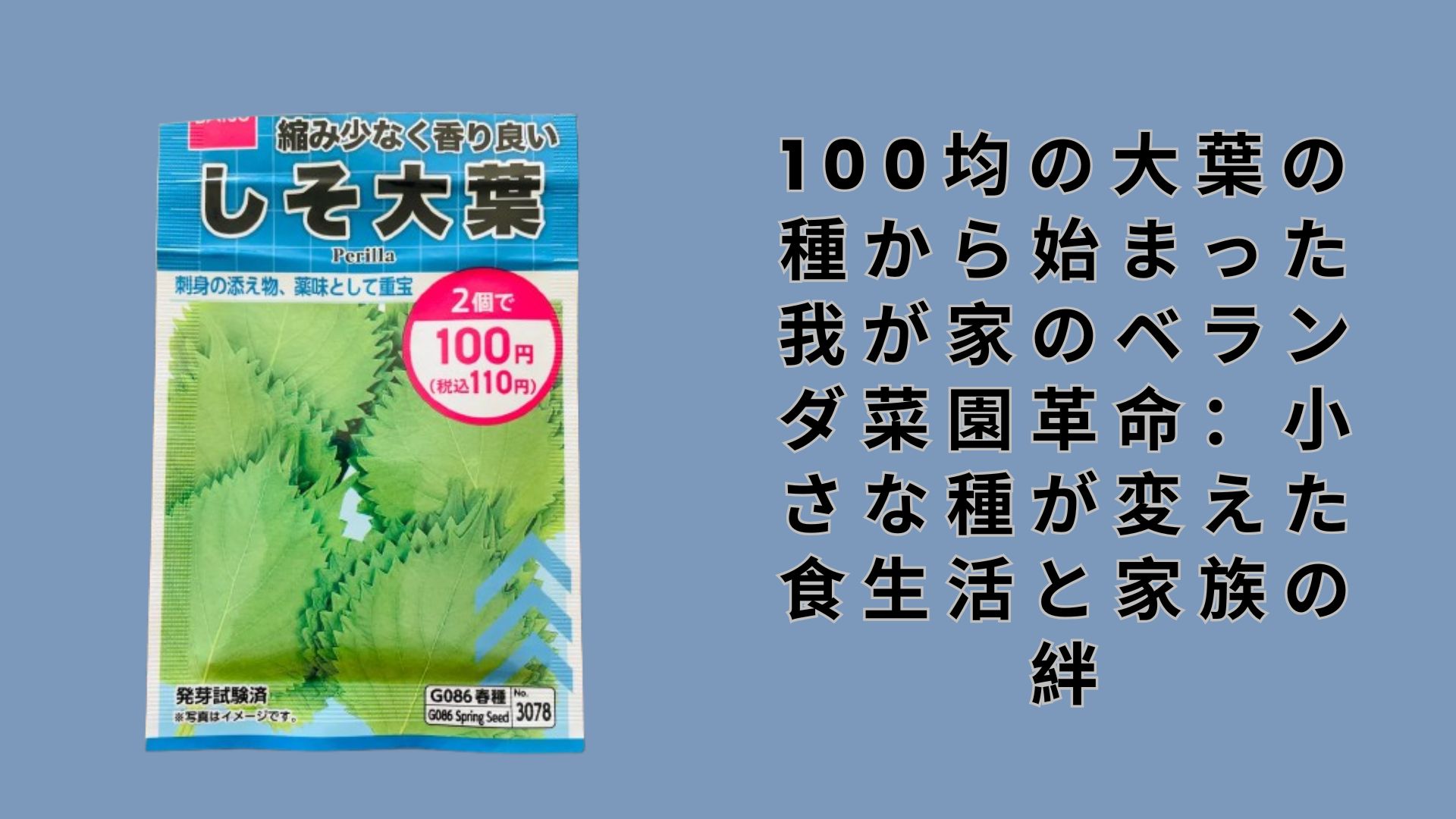 【ダイソー・セリア】100均の大葉の種から始まった我が家のベランダ菜園革命：小さな種が変えた食生活と家族の絆