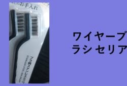 ワイヤーブラシ セリア, ワイヤーブラシ ダイソー 売り場, 排水溝 ワイヤーブラシ セリア, ダイソー ワイヤーブラシ ドリル, ロング ワイヤー ブラシ ダイソー, ミニワイヤーブラシ ダイソー, ワイヤーブラシ キャンドゥ