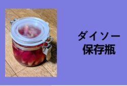 ダイソー 保存瓶, ダイソー 保存瓶 密閉, ダイソー 保存瓶 300円, 100 均 ガラス容器 セリア, ダイソー 保存 瓶 耐熱, ダイソー 保存 瓶 ガラス, 100 均 ガラス容器 キャンドゥ