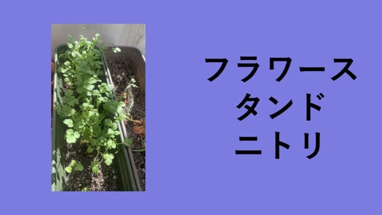 【ニトリのフラワースタンド徹底レビュー】1100円から始める「観葉植物のある暮らし」！床置き卒業で部屋が劇的に垢抜けた実体験