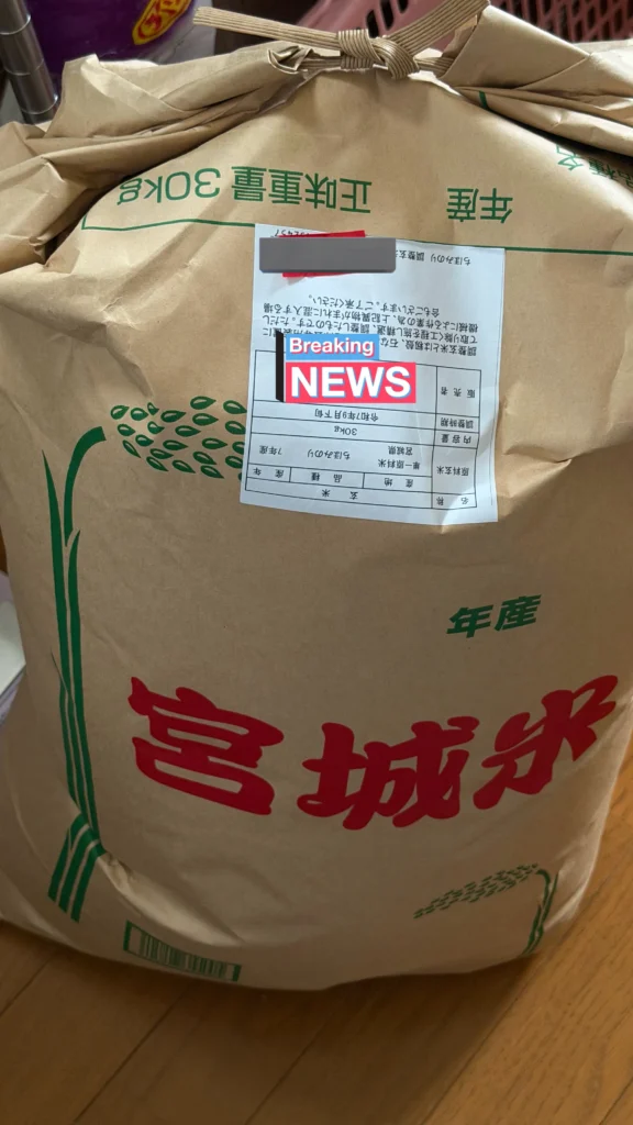玄米 安い 低価格で玄米を手に入れるポイント