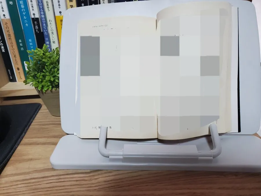 セリアで見つかる読書台・関連商品の種類